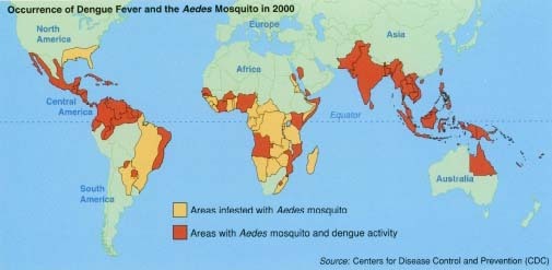 This map shows the occurrence of Dengue fever and its relationship to the regions where the Aedes mosquito lives. The disease is widespread close to the equator, in the tropical areas of Asia, Africa, South America, and Central America, the mosquito's preferred habitat.