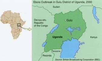In October 2000 an epidemic of Ebola broke out in Gulu, Uganda, and in 4 months it killed 224 people. Some doctors believe that eating ape meat contaminated with the virus may be one source of infection. It is hoped that research to determine the natural source of the virus and the ways in which it is transmitted to primates and humans will provide information about how to prevent future outbreaks.