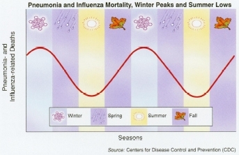 Cases of influenza virus infection typically peak in the fall and winter and decrease in the warmer months. During the 1918 pandemic, the virus killed more than 33,000 people in New York City alone, just over 1% of the city's population. Soruce:Centers for Disease Control and Prevention(CDC)