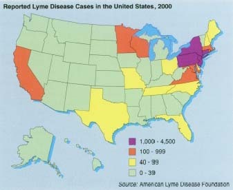 As is evident in this map showing the occurrence of Lyme disease in the United States for the year 2000, most of the cases came from the northeastern, north-central, and mid-Atlantic states.