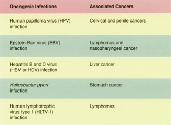 Oncogenic Infections