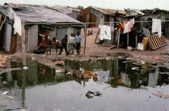 Cholera bacteria live in water. At this crossroads near Capetown in South Africa, human waste contaminates the drinking water and the water used for cleaning and cooking food. © M. Courtney-Clarke, Photo Researchers, Inc.