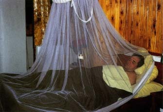 In countries where malaria is common, people often sleep under mosquito netting. © Glenn M. Oliver/Visuals Unlimited.